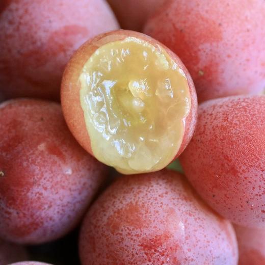 【大理•妮娜皇后葡萄】 顺丰空运到家 颜值诱人 香甜多汁 花香的清新 果香的鲜甜 奶香的醇蜜 酒香的层次 多种规格任选 商品图4