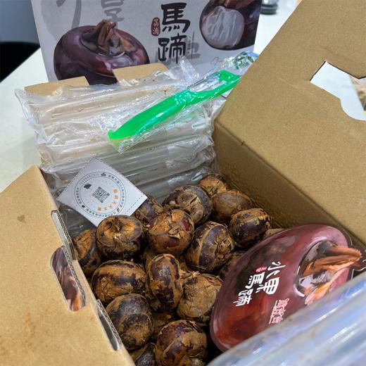 脆吉吉马蹄  产地直供 更甜的大荸荠 商品图4