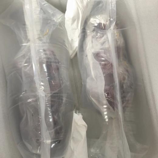 【大理•妮娜皇后葡萄】 顺丰空运到家 颜值诱人 香甜多汁 花香的清新 果香的鲜甜 奶香的醇蜜 酒香的层次 多种规格任选 商品图6