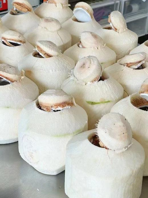 椰子冻（下午4点左右出货） 商品图1