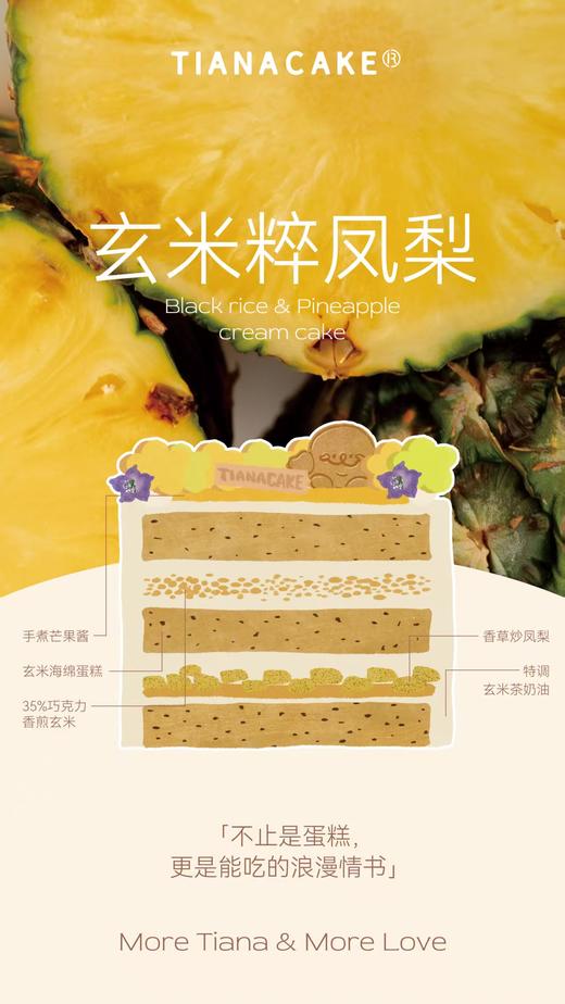 🍃轻盈仲夏【🍍玄米粹凤梨】 商品图4