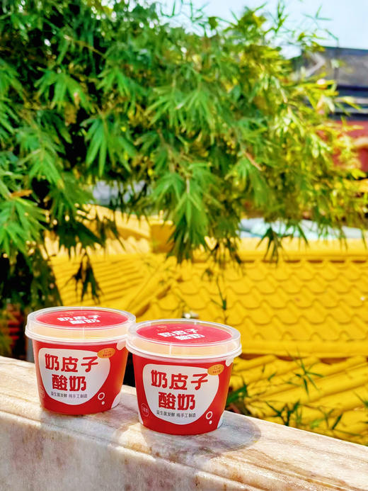 【一份好礼】奶皮子酸奶 130g/杯 手工制作 新鲜短保 商品图8