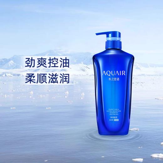 水之密语净润臻养洗发露(控油型)600ml 商品图0