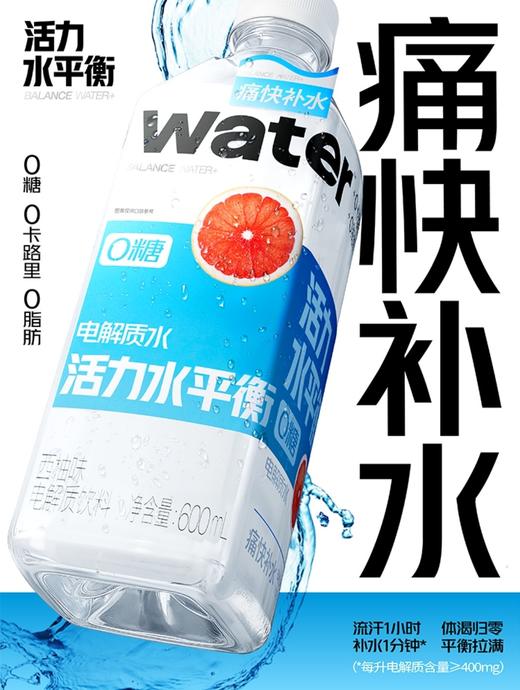 活力水平衡电解质饮料西柚味910ml 商品图0
