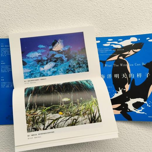 中信出版 | 海洋明天的样子海伦·斯凯尔斯 商品图3