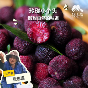 生态荸荠杨梅（邮政空运）| 合作生产* Ecological red bayberry | Partner Production