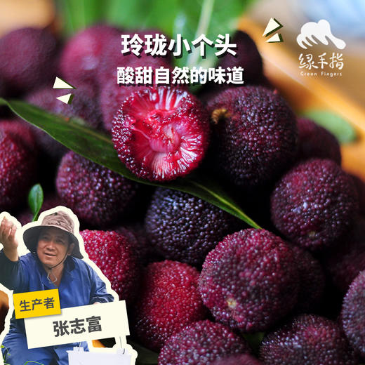生态荸荠杨梅（邮政空运）| 合作生产* Ecological red bayberry | Partner Production 商品图0