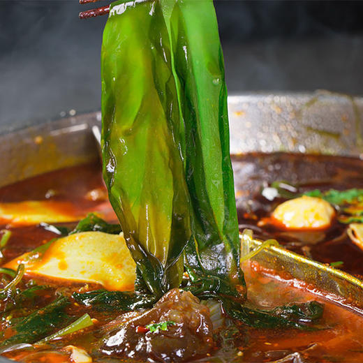 海芝宝有机海带 5斤家庭装 2.5倍泡发率 有机认证 一箱一码 非人工养殖 商品图9