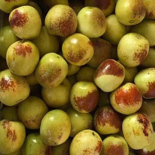 牛奶冬枣 又脆又甜 商品图9