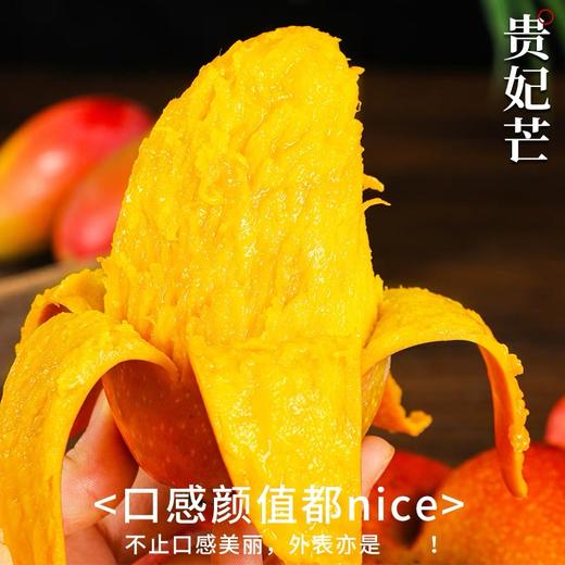 四川攀枝花有机芒果6斤装/10斤装 商品图4