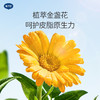 【戴可思推荐】戴可思金盏花洗发沐浴二合一精简成分 7无添加 低泡易冲洗 洗发沐浴二合一 商品缩略图4