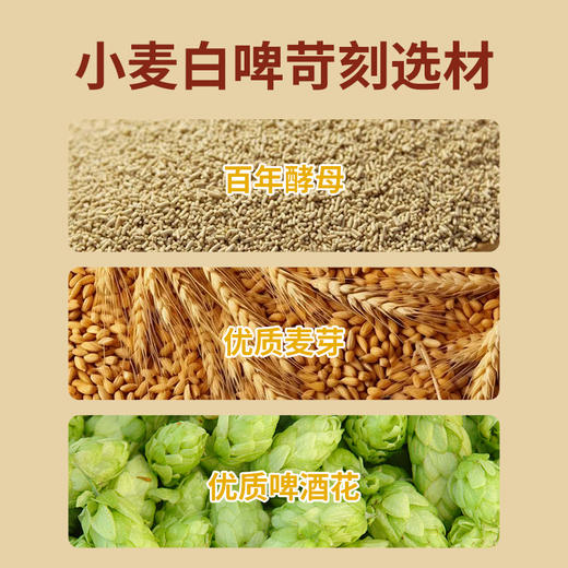 德国进口圣瓦德斯图加特小麦白啤酒500ml 商品图1