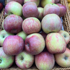 南非小富士1000g/份