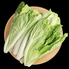 精选杭白菜约250g/份