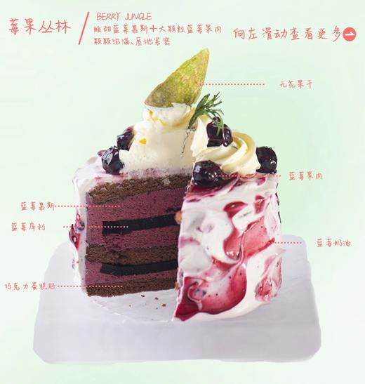 4#莓果丛林 商品图1