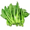 A级供港菜心500g/份 商品缩略图0