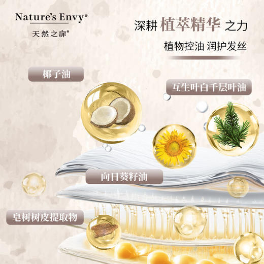 美国进口天然之扉长效控油洗发露532ml【琥珀木香】（满一件赠同品牌长效控油洗发露50ml） 商品图1