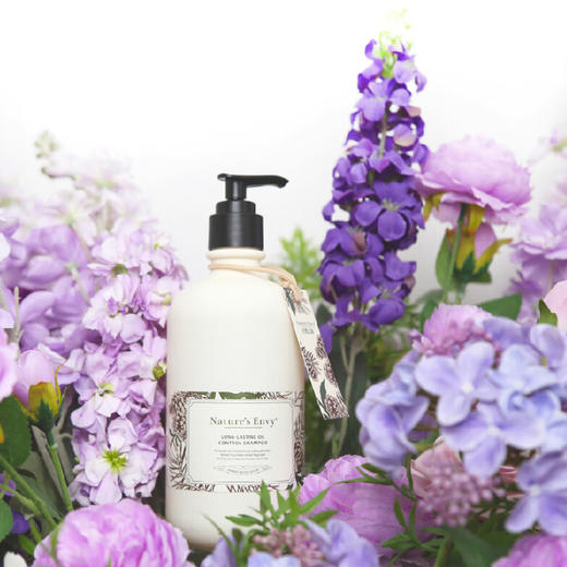 美国进口天然之扉长效控油洗发露532ml【琥珀木香】（满一件赠同品牌长效控油洗发露50ml） 商品图2