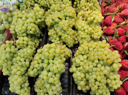 小蜜蜂葡萄2斤 商品图0