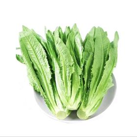 油麦菜约350g/份