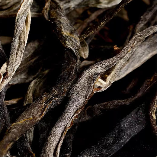 【6月8日19:00准时开抢！】【专柜价：9980元/片 仅限前18名VIP抢购：648元/片 ！拍7发8拍42发48】2025年麒麟·薄荷塘王古树春茶357克/片【一代大师•陈道峰开辟独立生产专线】 商品图1