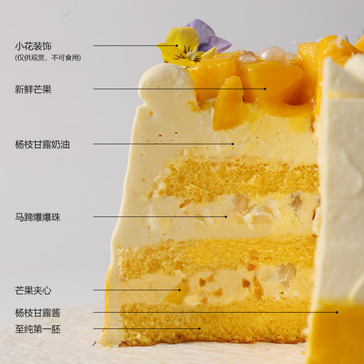 杨枝甘露 商品图3