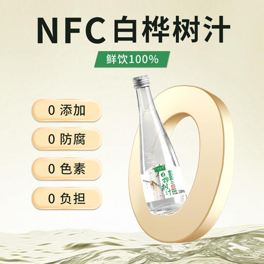 热卖！“液体黄金”！白桦依然NFC白桦树汁 330ml*6瓶 商品图10