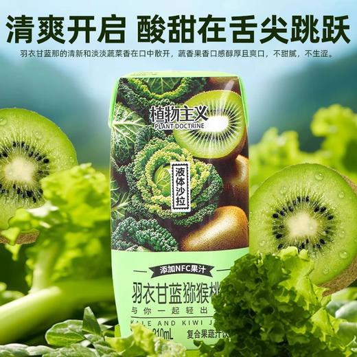 【特惠】植物主义羽衣甘蓝猕猴桃汁210ml*12 商品图4