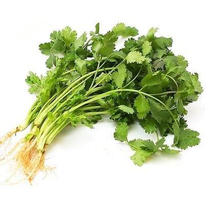 香菜约60g/份 商品图0