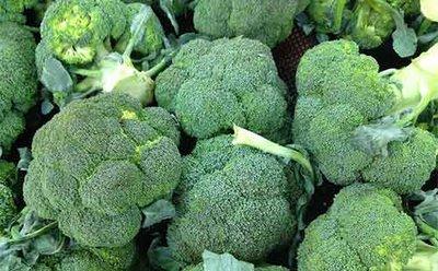 优选西兰花约500g/份 商品图0