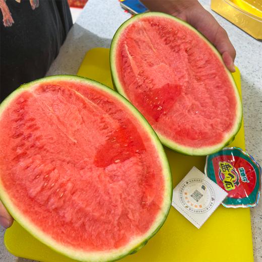 盘个瓜甘美4K西瓜 甜脆口 新鲜采摘 商品图4