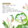 有机米香料酒160ml/500ml｜禾然有机 商品缩略图6