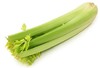 高原嫩西芹约500g/份 商品缩略图0