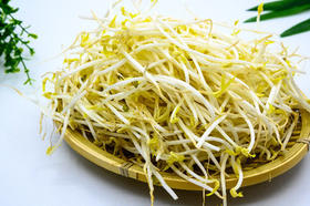 精选绿豆芽约300g/份