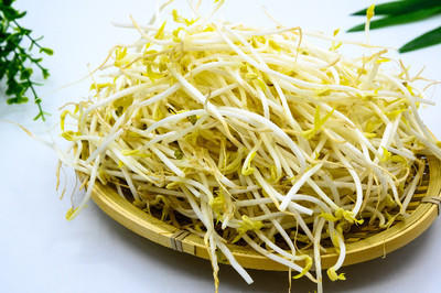 精选绿豆芽约300g/份 商品图0