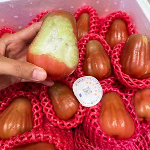 海南黑金刚莲雾 海南空运 好好吃的莲雾 商品图10