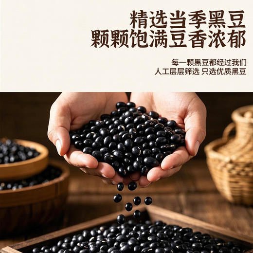 【五罐更超值❗当归黑豆即食】黑豆遇当归，香浓好味道，甄选品质原料制作，口感醇香无焦苦，豆香四溢下午茶休闲办公室小零食L 商品图3
