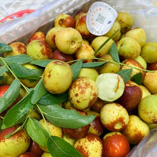 牛奶冬枣 又脆又甜 商品图5