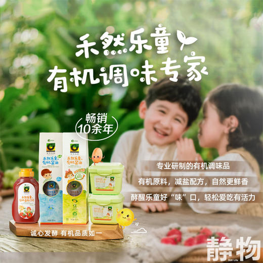 有机乐童番茄沙司320g｜禾然有机 商品图4