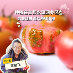 有机河北草莓西红柿（7天左右发货） | 合作生产* Eco- strawberry tomato| Coprodution