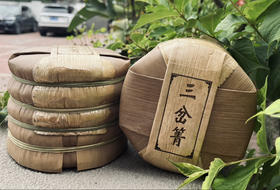 2025头春秘境古树三岔箐-1提（5片装）