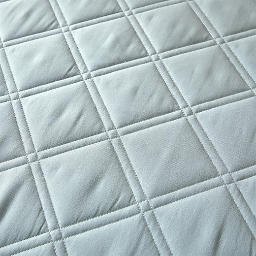 自然醒氧乐棉抗菌三明治加厚学生床垫垫褥软垫家用褥子垫背宿舍榻榻米垫子褥子LN 商品图13