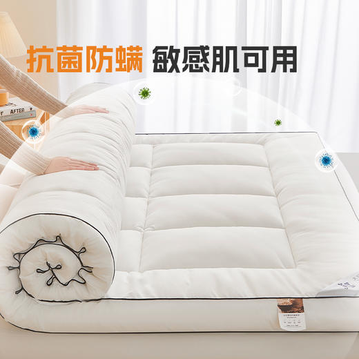 自然醒A类大豆抗菌防螨软床垫五星级酒店家用卧室垫被褥子铺底榻榻米租房专用LN 商品图5