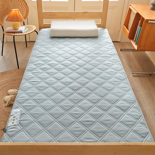 自然醒氧乐棉抗菌三明治加厚学生床垫垫褥软垫家用褥子垫背宿舍榻榻米垫子褥子LN 商品图9