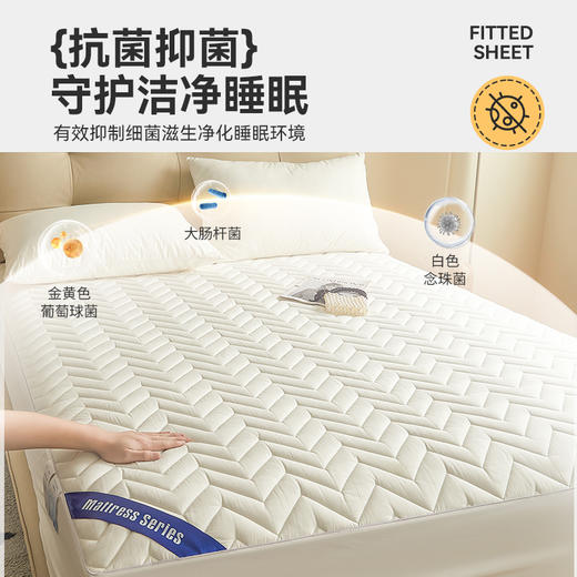 自然醒全棉波纹透气床笠床褥垫套家用卧室防滑褥子宿舍垫被席梦思保护垫薄软垫LN 商品图3