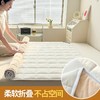 自然醒四季款全棉舒适抗菌两用床褥双面纯棉德芙绒床垫防滑可洗家用软垫床褥被LN 商品缩略图4