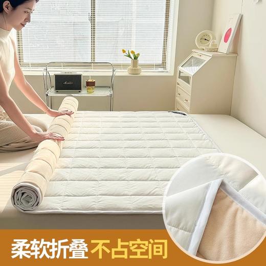 自然醒四季款全棉舒适抗菌两用床褥双面纯棉德芙绒床垫防滑可洗家用软垫床褥被LN 商品图4