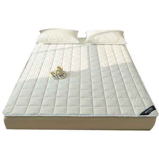 自然醒四季款全棉舒适抗菌两用床褥双面纯棉德芙绒床垫防滑可洗家用软垫床褥被LN 商品图7