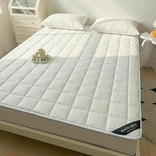 自然醒四季款全棉舒适抗菌两用床褥双面纯棉德芙绒床垫防滑可洗家用软垫床褥被LN 商品图9