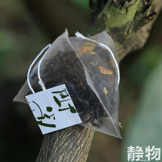 阿柑红茶17.5g（2.5g*7袋）｜丑美阿柑 商品图2